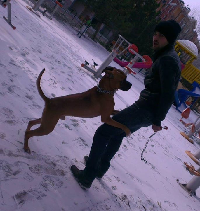 Ahmet