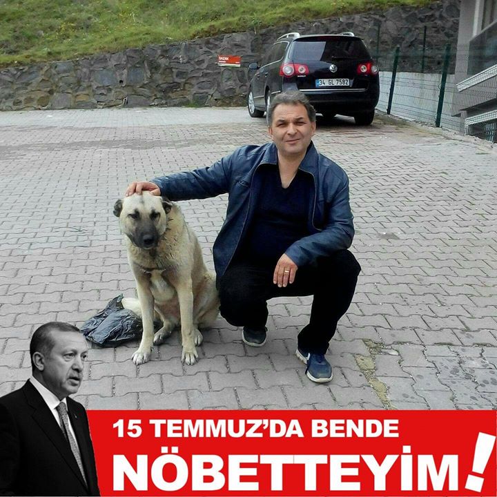 Bayrak