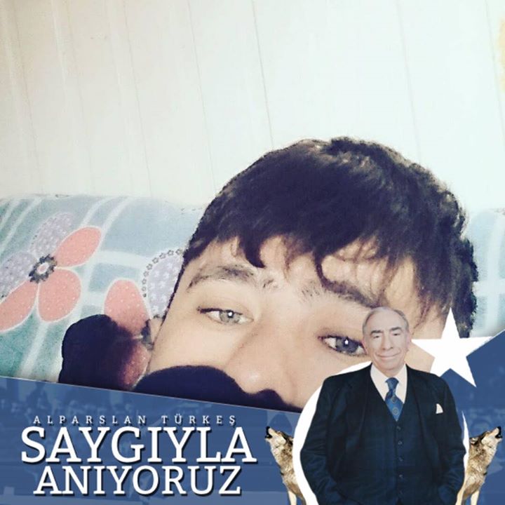 Yns