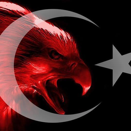 Çarşı
