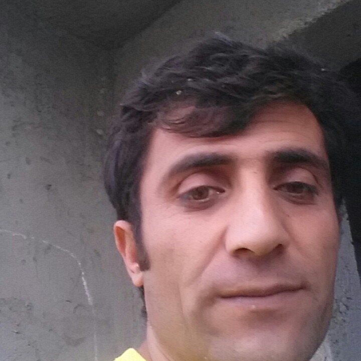 Vedat