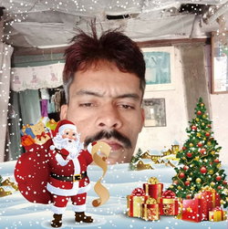 Hemant