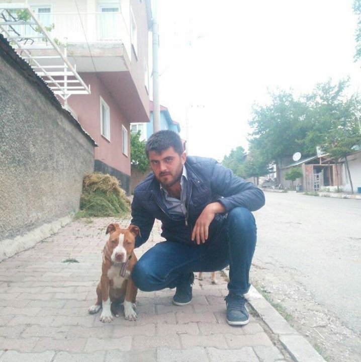 Serhat