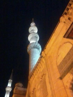Sarı