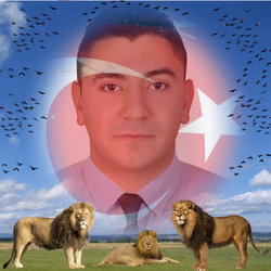 Caner