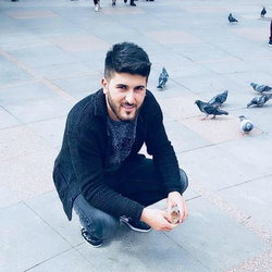Şahin