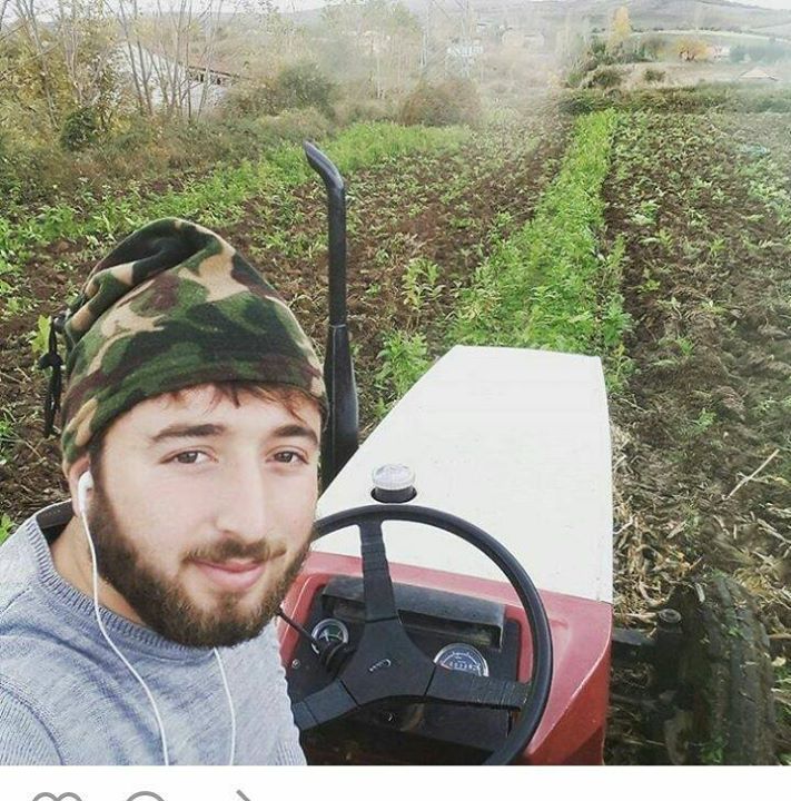 Erdal
