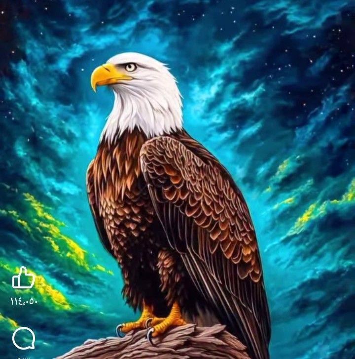 اسلام