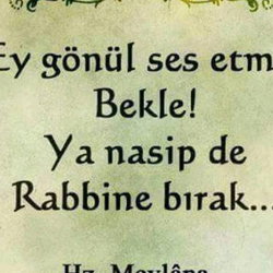 Rasim