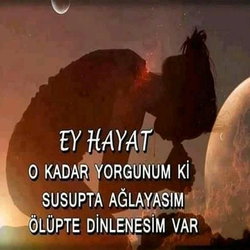 Boyacı