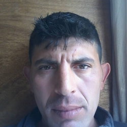 Talha