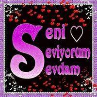 Gezgin