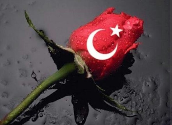 Aysenur