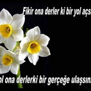 İsa