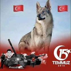 Erkan