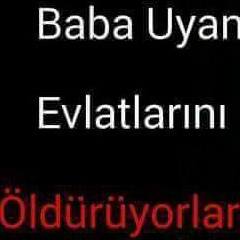 Teyfik