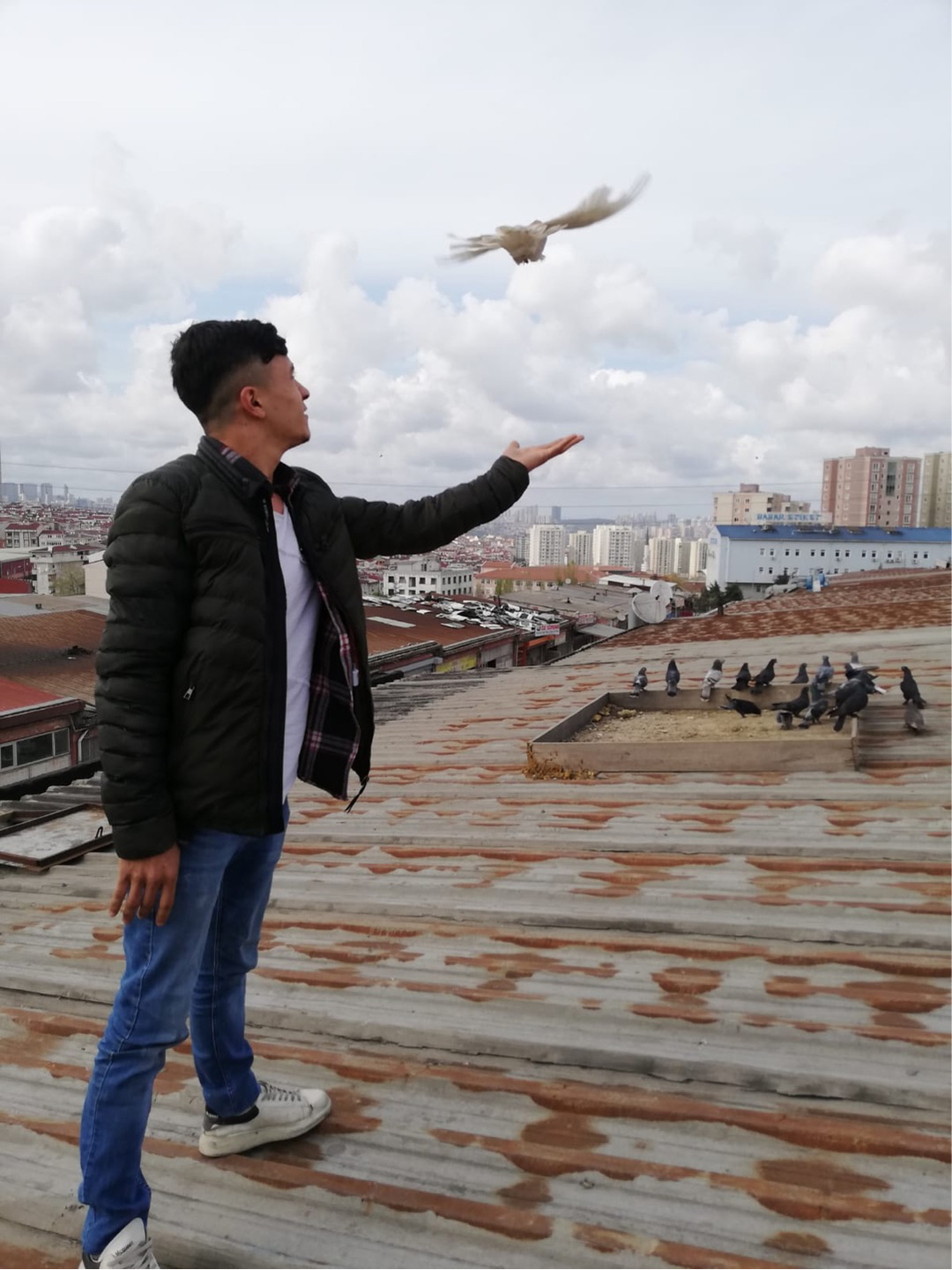 Mahmut