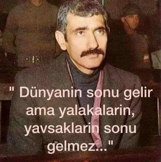 M Hanifi