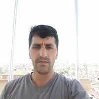 Vedat