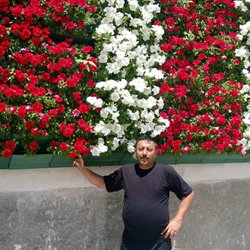 Soner