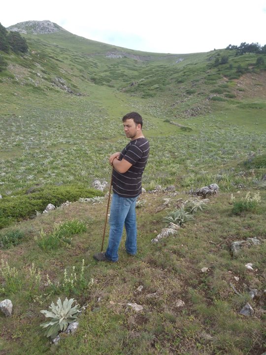 Mustafa