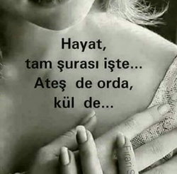 Kader