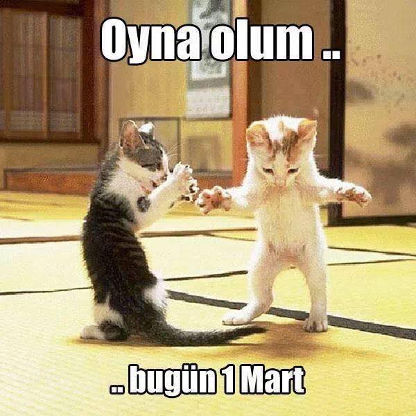 Emir