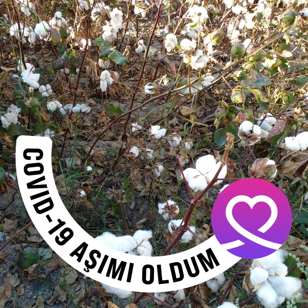Bayram