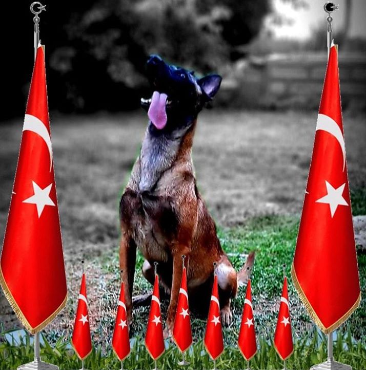 Özlem
