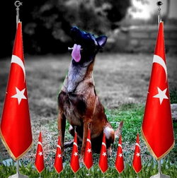 Özlem