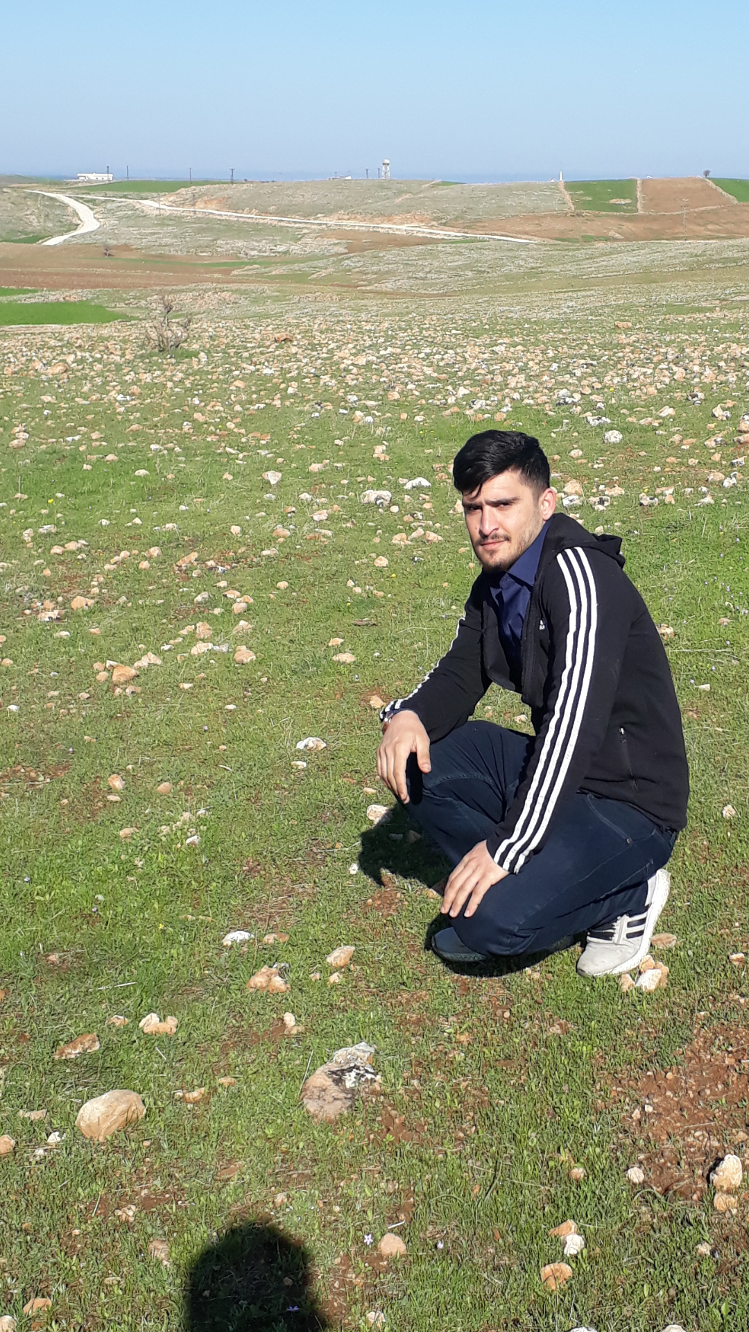 Harun