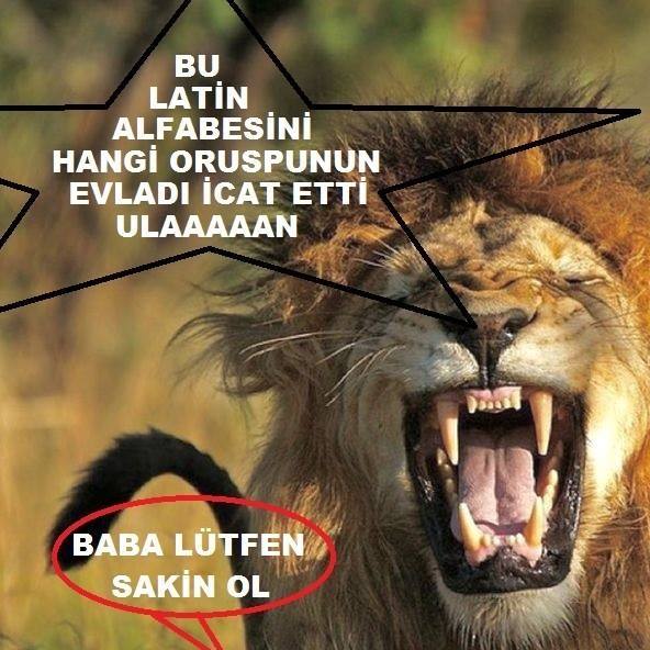Erkan