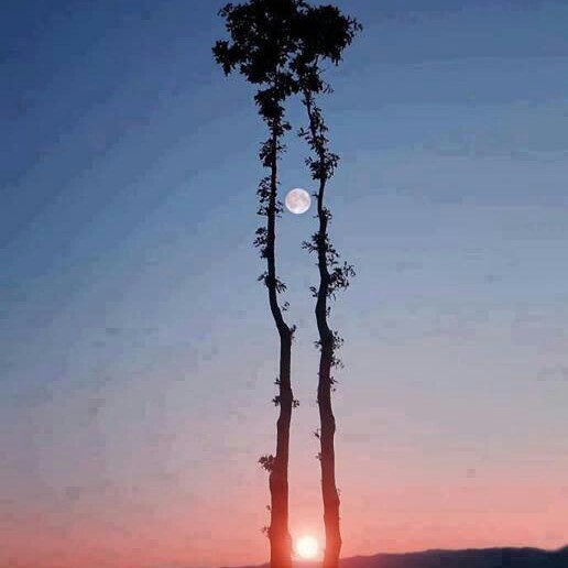 صل