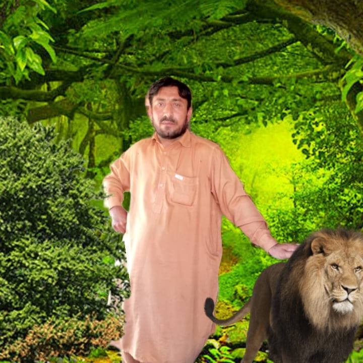 Gul