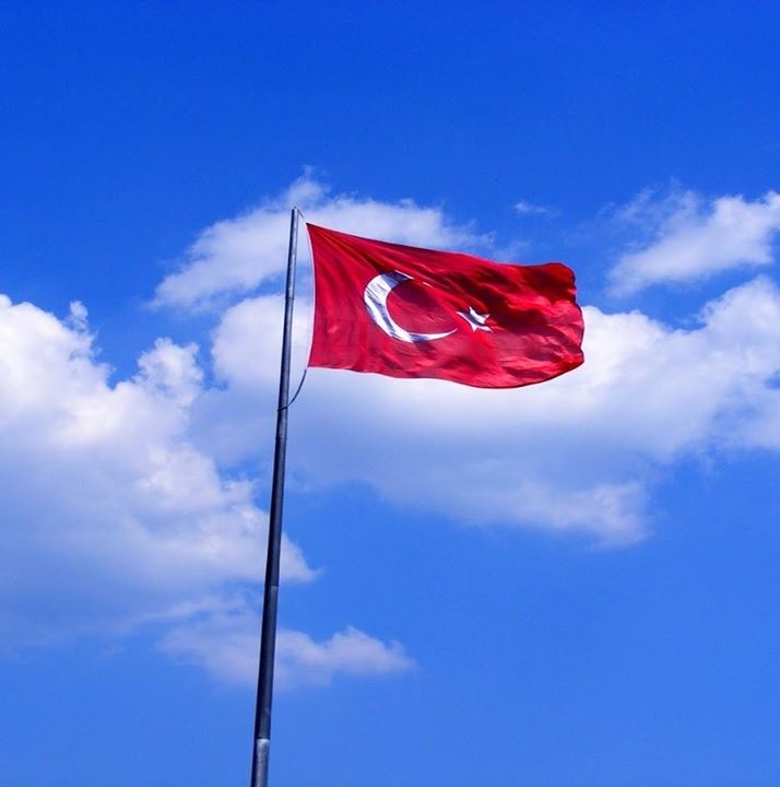 Halil