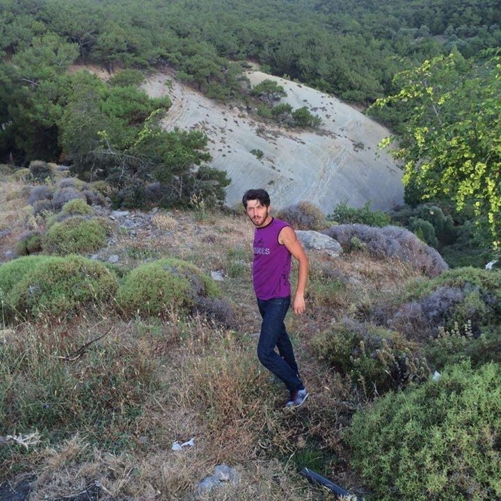 Bulut