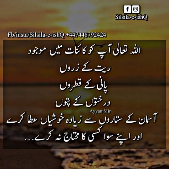 Haider