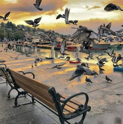 Ercan