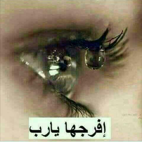 ابومجد