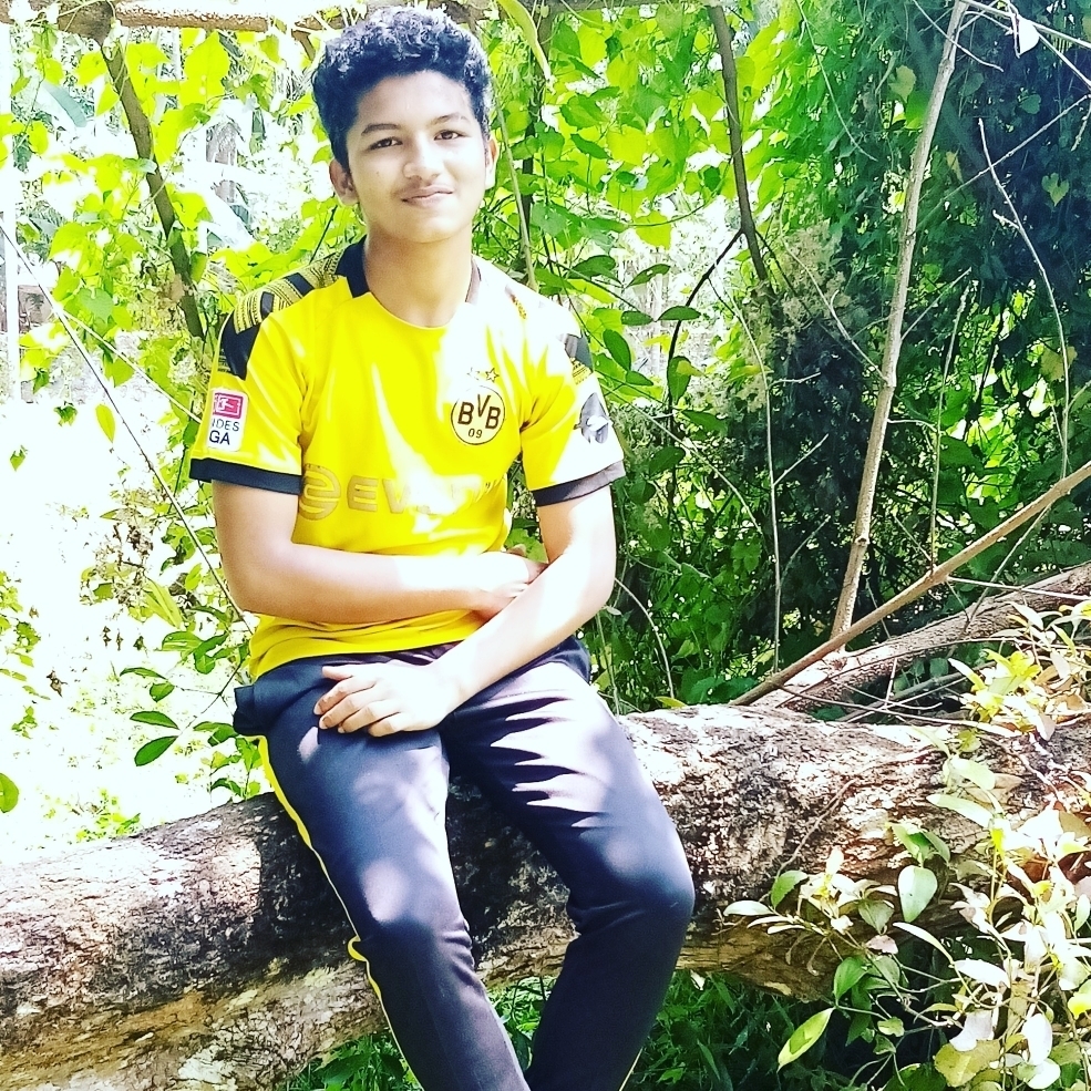 Alfan