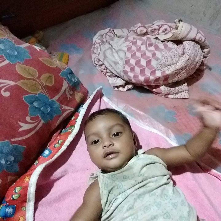 Rajehs