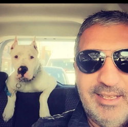 Engin