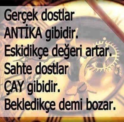 Toprak