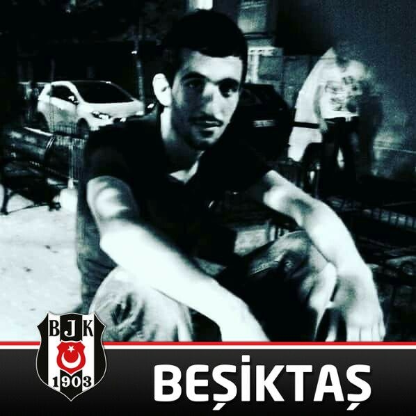 Şahin