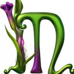 Mir
