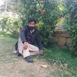 Maskeen
