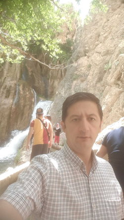 Bulent