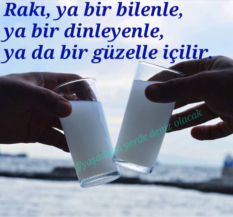 Nilüfer