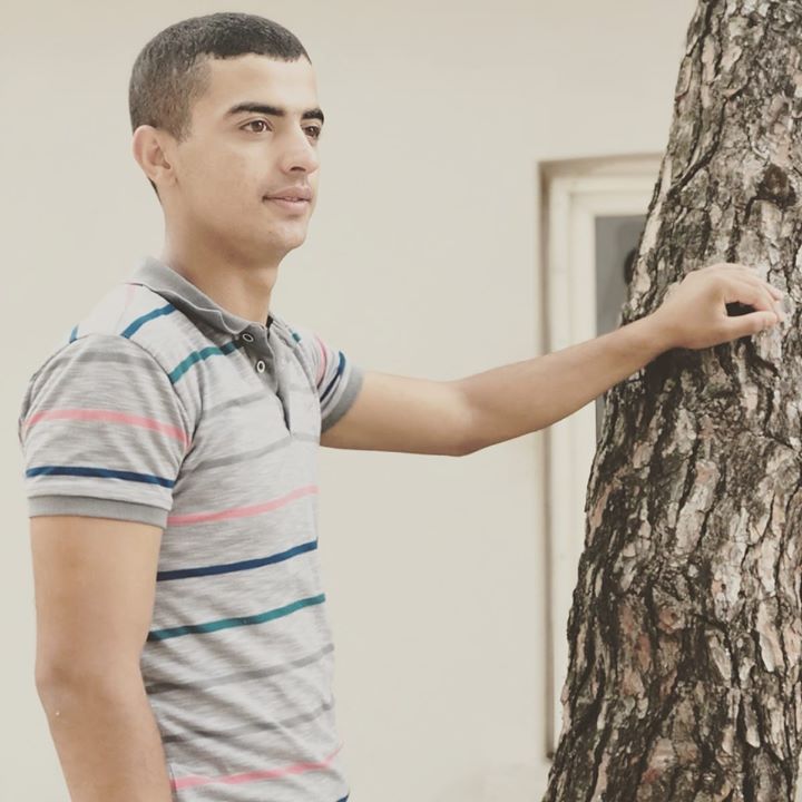 Doğan