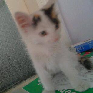 Canan